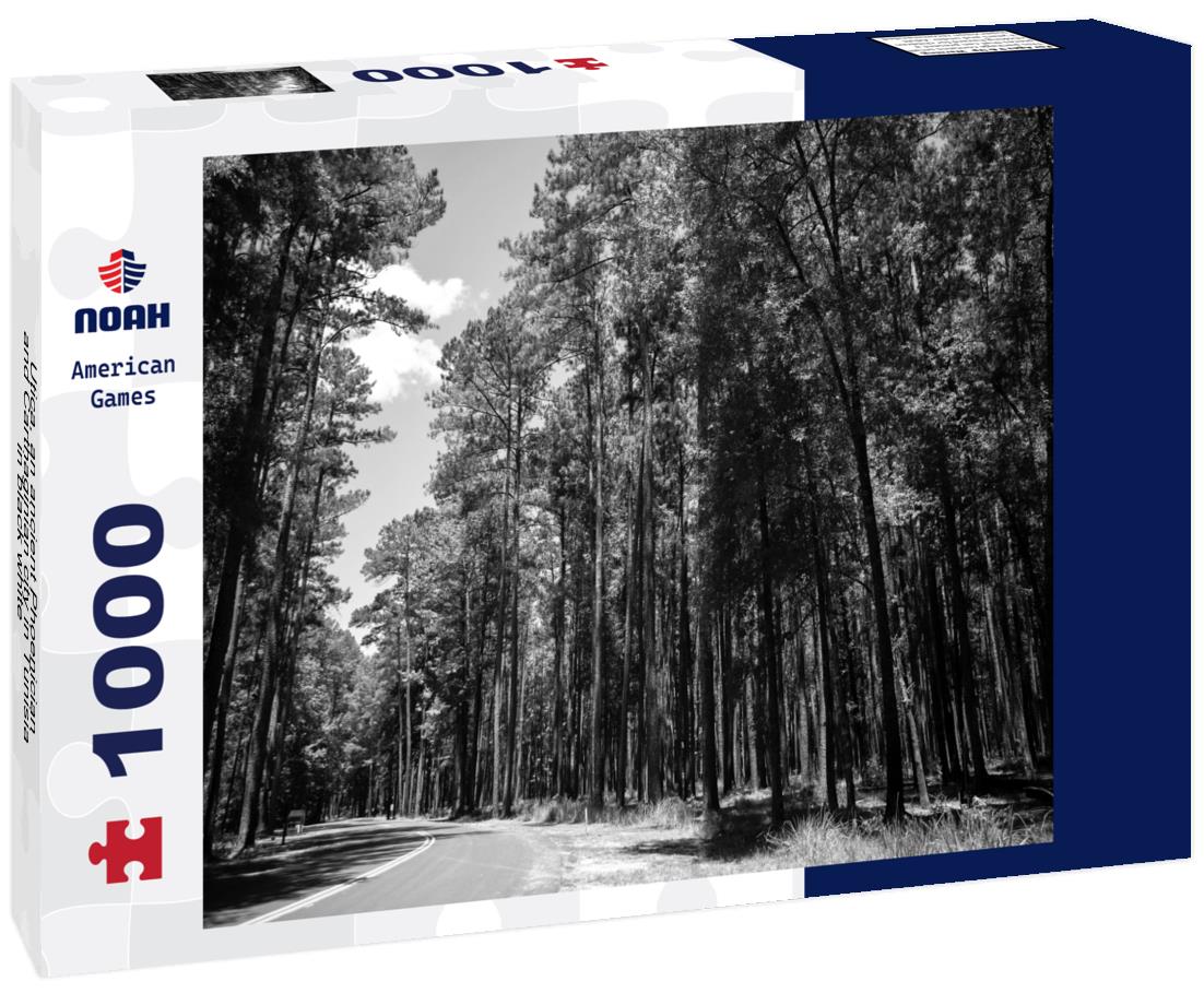 Noah Jigsaw Puzzle Utica, an ancient Phoenician and Carthaginian city in Tunisia in black white 1000 pieces