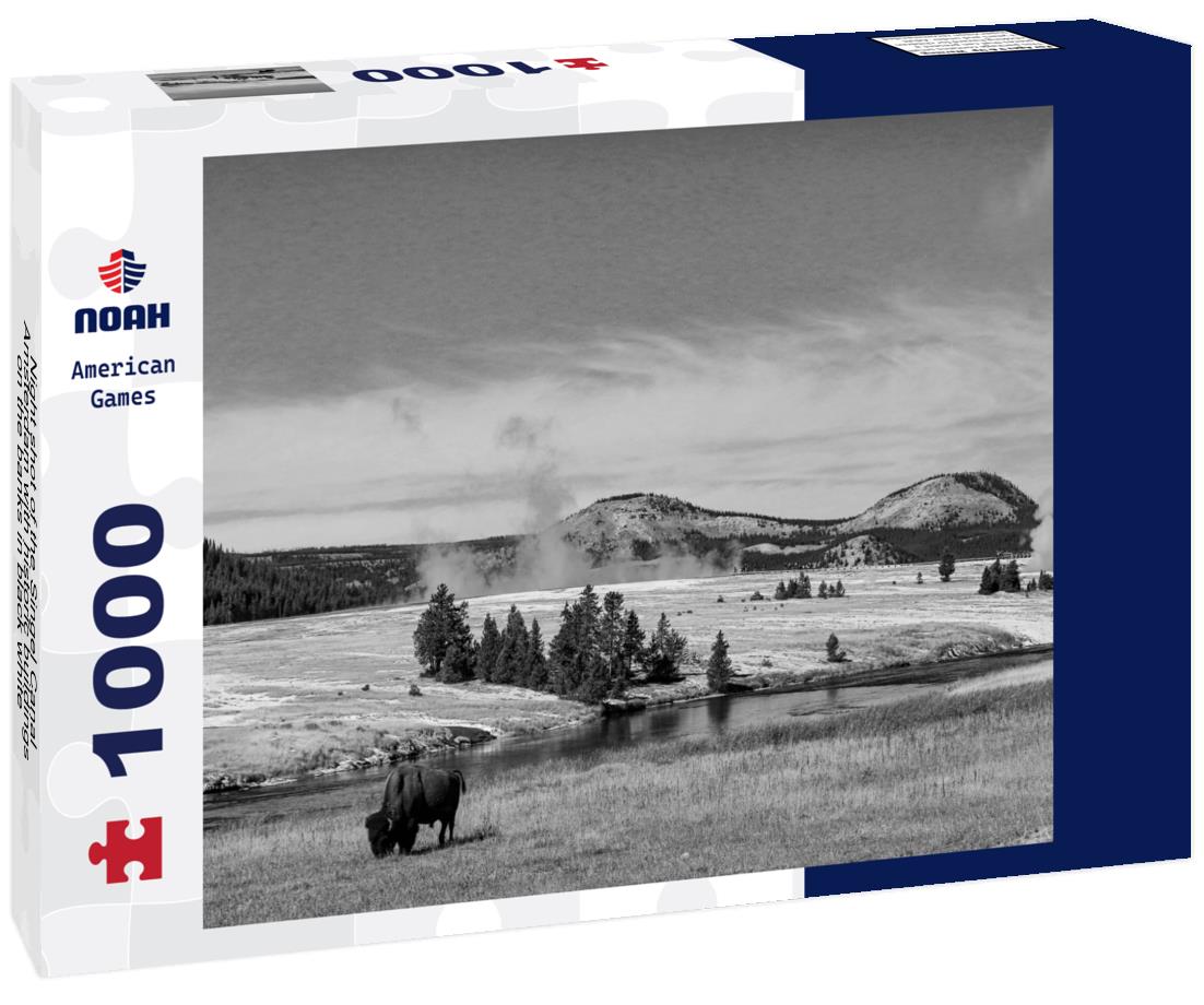 Noah Jigsaw Puzzle Night shot of the Singel Canal, Amsterdam with historic buildings on the banks in black white 1000 pieces