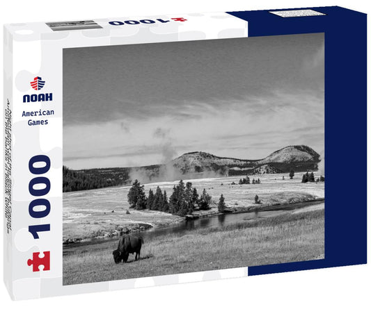 Noah Jigsaw Puzzle Night shot of the Singel Canal, Amsterdam with historic buildings on the banks in black white 1000 pieces