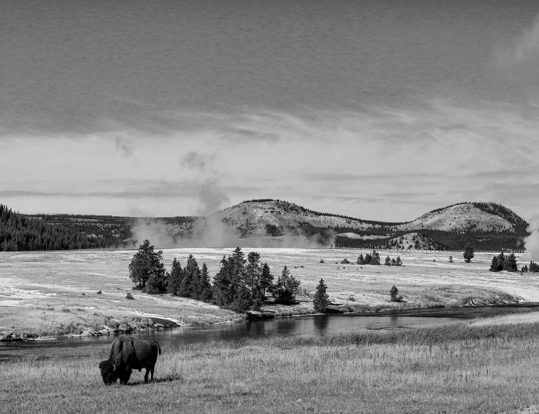 Noah Jigsaw Puzzle Night shot of the Singel Canal, Amsterdam with historic buildings on the banks in black white 1000 pieces