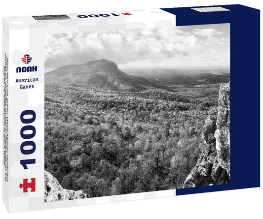 Noah Jigsaw Puzzle Beautiful lush green West African rainforest during an amazing sunset in Tanzania on the slopes of Kilimanjaro in black white 1000 pieces