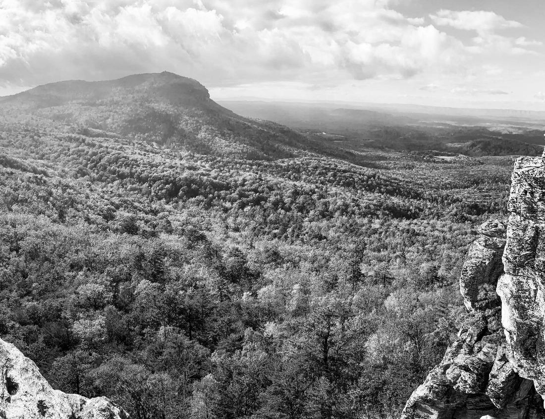 Noah Jigsaw Puzzle Beautiful lush green West African rainforest during an amazing sunset in Tanzania on the slopes of Kilimanjaro in black white 1000 pieces