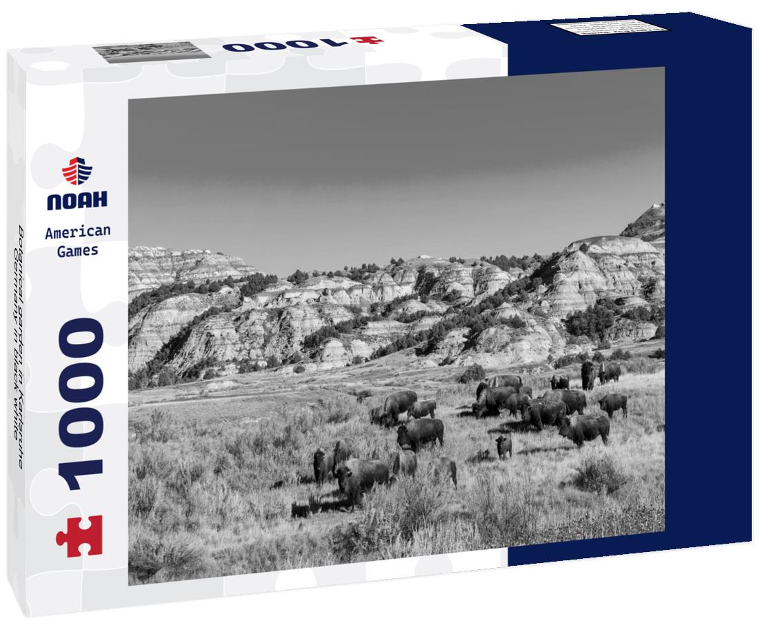 Noah Jigsaw Puzzle Botanical garden in Karlsruhe, Germany in black white 1000 pieces