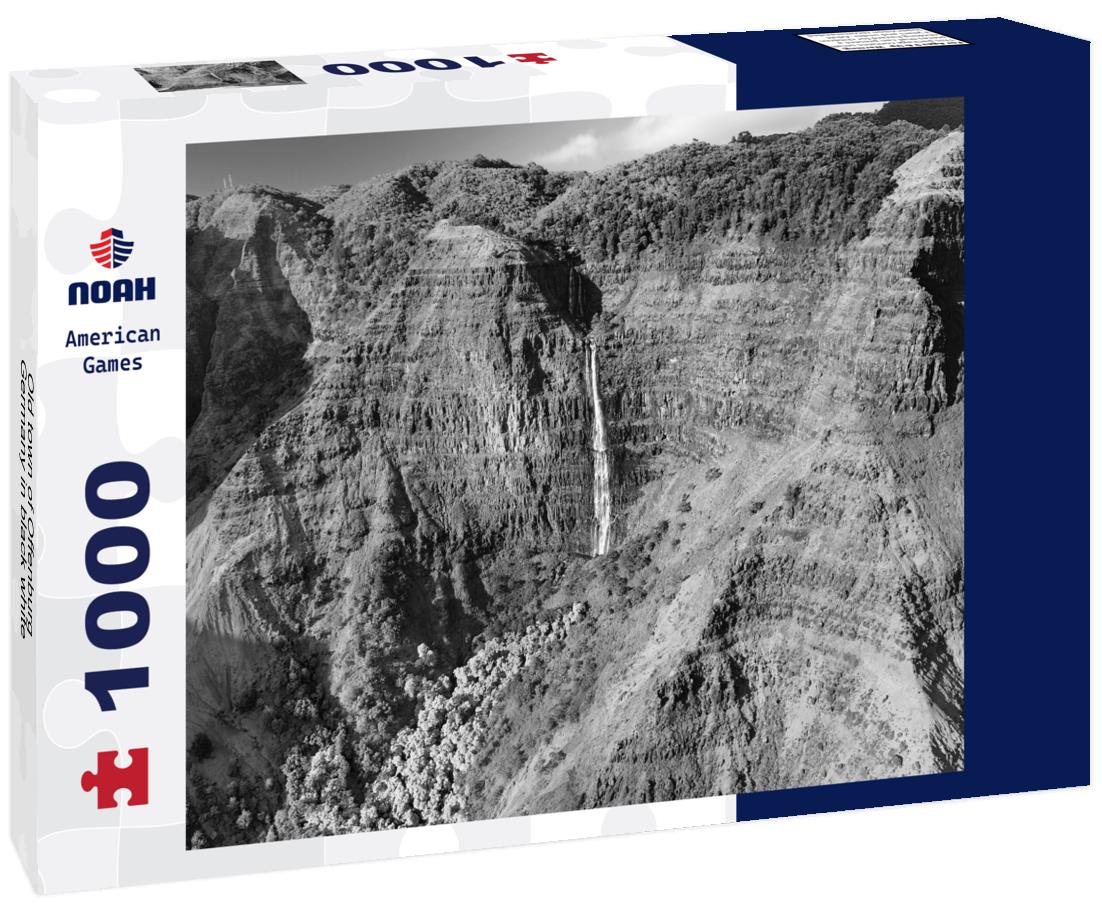 Noah Jigsaw Puzzle Old town of Offenburg, Germany in black white 1000 pieces