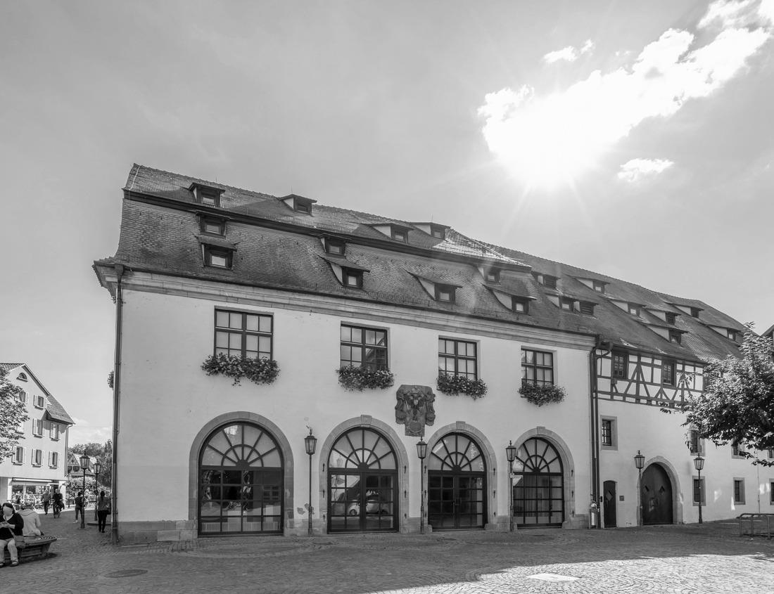 Noah Jigsaw Puzzle Morning light on the New River in New River Gorge National Park and Preserve, Fayette County, West Virginia, USA in black white 1000 pieces