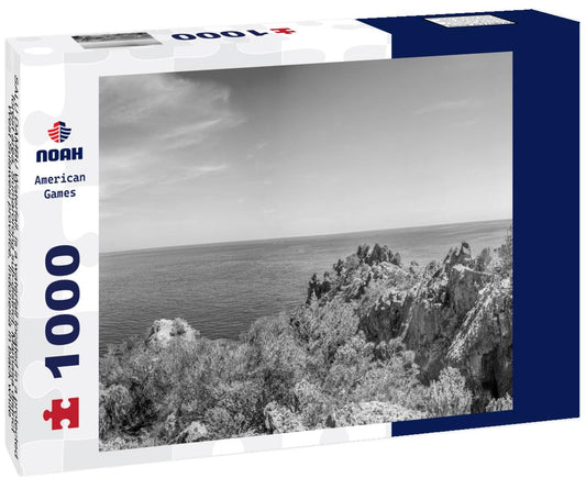 Noah Jigsaw Puzzle SALU DAMBU Waterfall, is a waterfall located in a protected forest area, Sumarorong sub-district, Mamasa district, West Sulawesi province, Indonesia in black white 1000 pieces