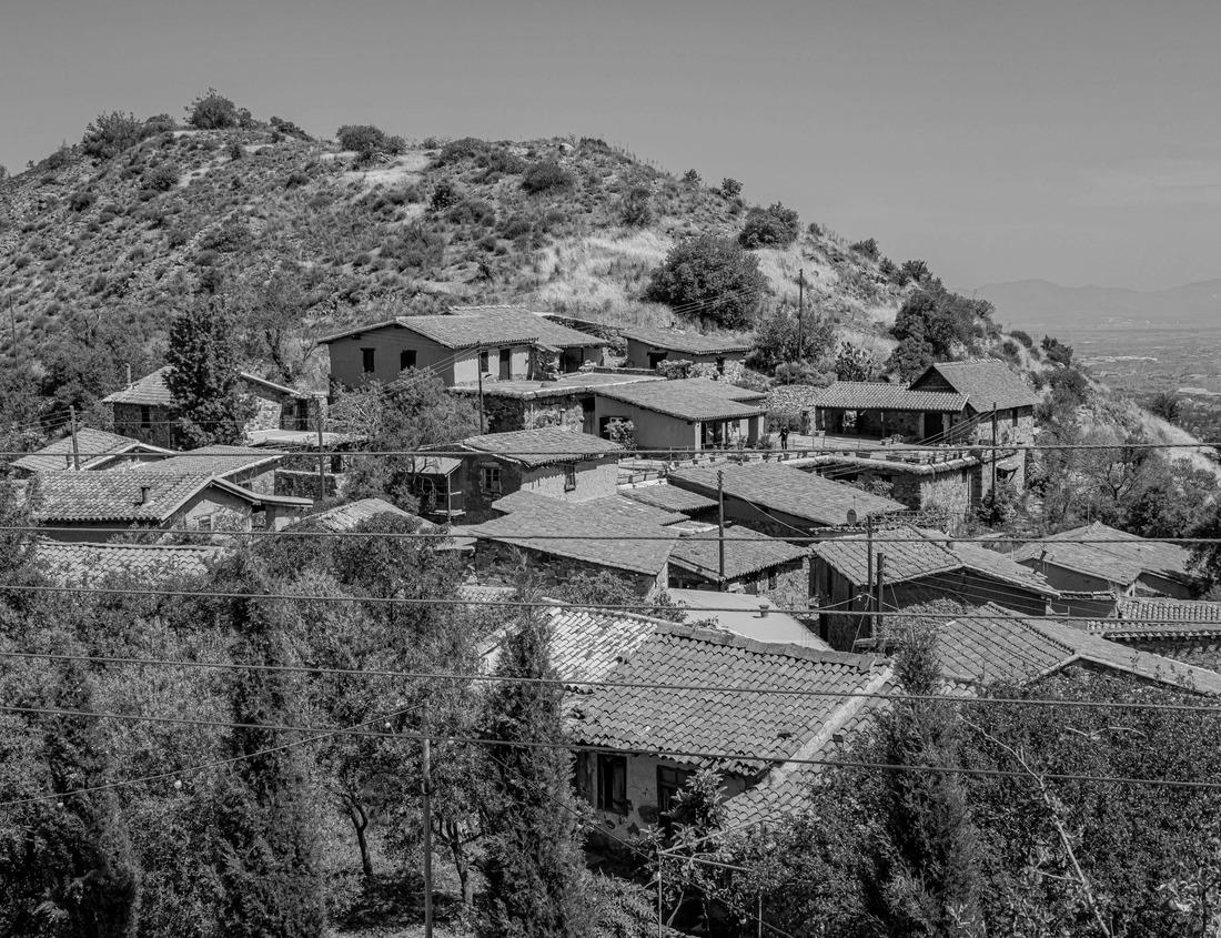 Noah Jigsaw Puzzle American Alligator in water with Lily Pads on the Anhinga Trail in the Royal Palm area of Everglades National Park in south Florida USA in black white 1000 pieces