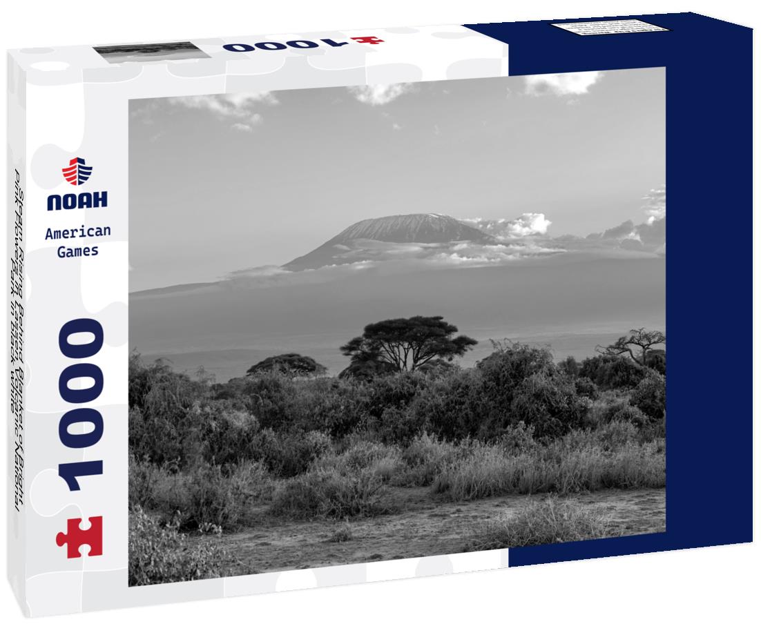 Noah Jigsaw Puzzle Steam Rising Behind Blanket of Bright Pink Flowers in Lassen Volcanic National Park in black white 1000 pieces