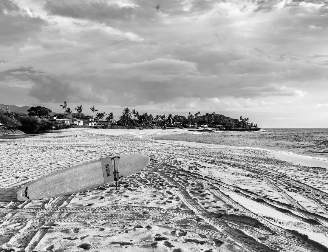 Noah Jigsaw Puzzle Aerial panorama view of the church and castle at Spiez on the shore of Lake Thun in the Swiss canton of Bern at sunset, Spiez in black white 1000 pieces