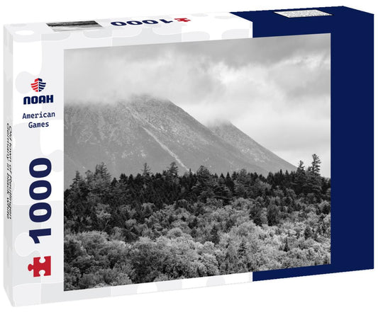 Noah Jigsaw Puzzle Old town of Reutlingen, Germany in black white 1000 pieces