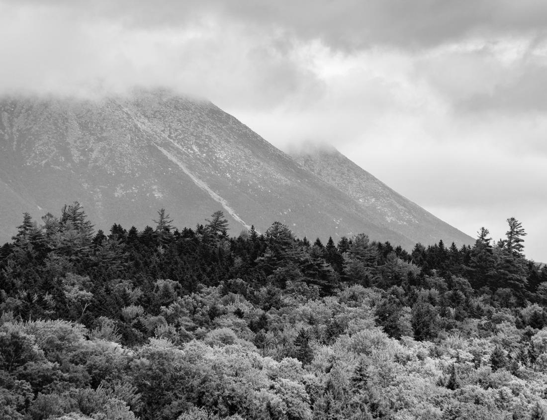 Noah Jigsaw Puzzle Old town of Reutlingen, Germany in black white 1000 pieces