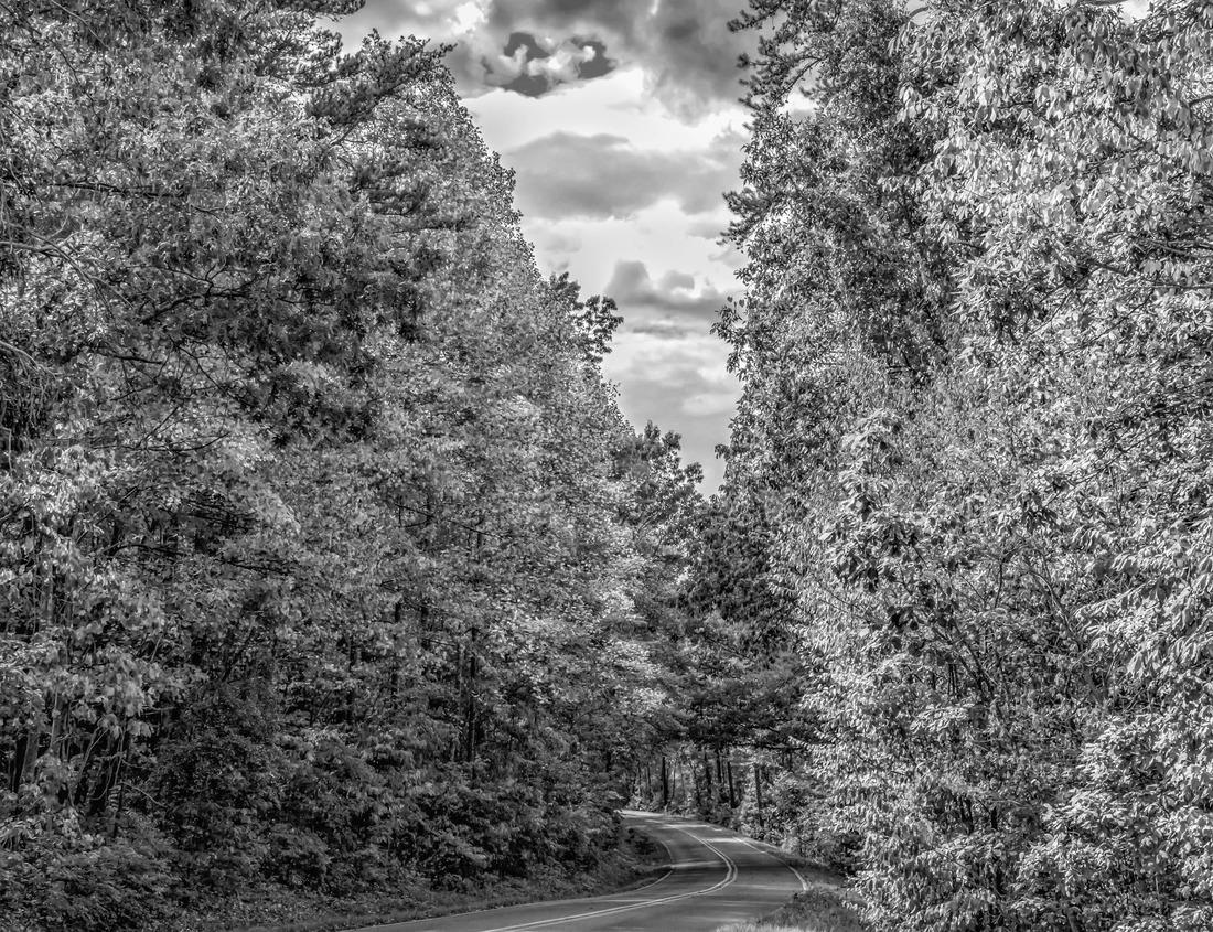 Noah Jigsaw Puzzle Noblesville Indiana Deer Path Housing Edition in black white 1000 pieces