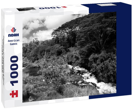 Noah Jigsaw Puzzle Panorama of Casalecchio di Reno with a view of the hill of San Luca in black white 1000 pieces