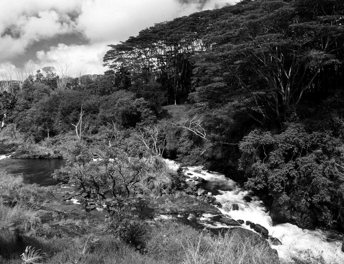 Noah Jigsaw Puzzle Panorama of Casalecchio di Reno with a view of the hill of San Luca in black white 1000 pieces