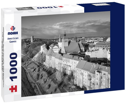 Noah Jigsaw Puzzle Wilmington, North Carolina, USA Downtown City Skyline at the Cape Fear River at night in black white 1000 pieces