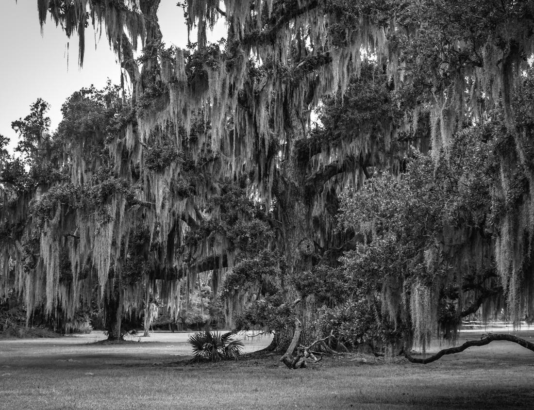 Noah Jigsaw Puzzle Landsberg am Lech aerial panorama view. Landsberg am Lech is a town in southwestern Bavaria, Germany in black white 1000 pieces