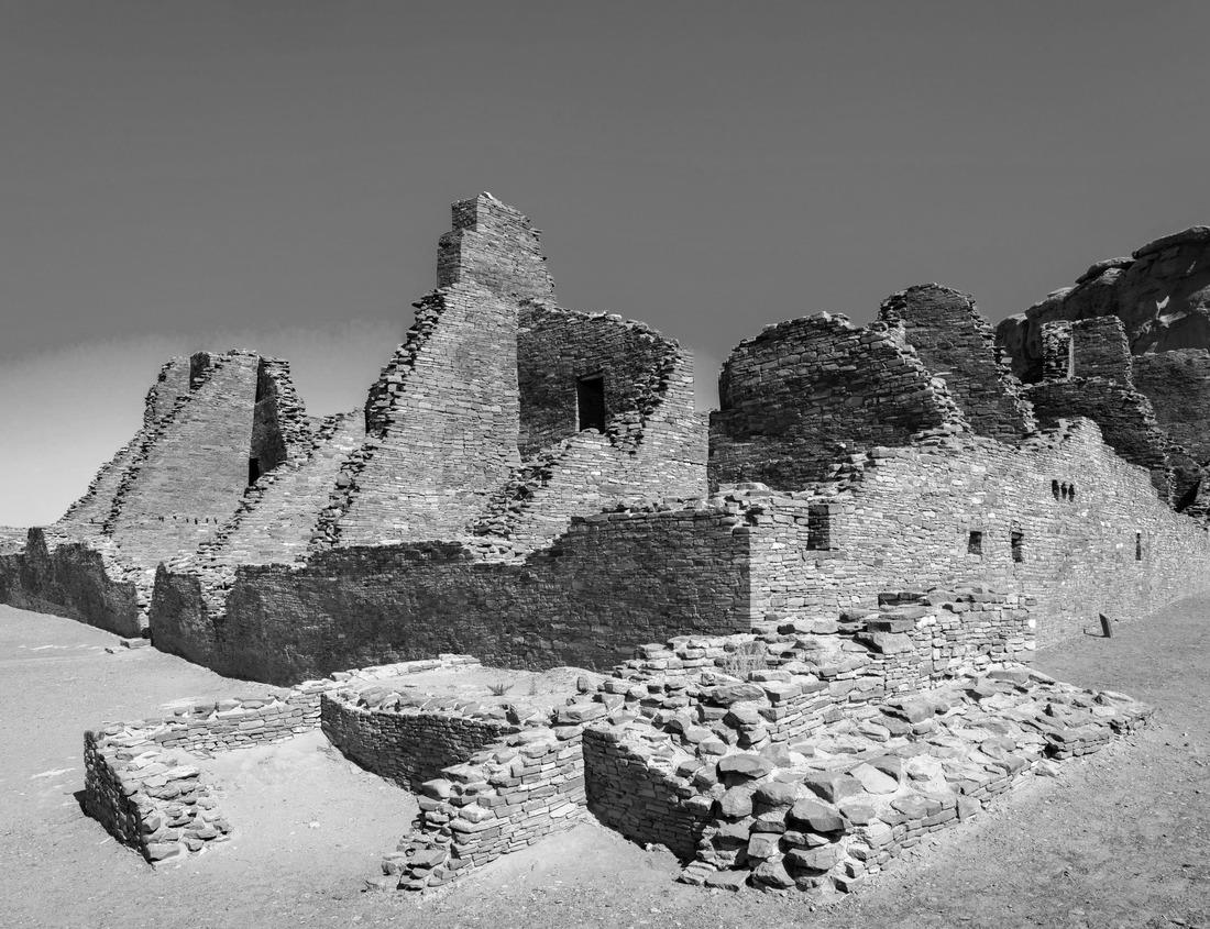 Noah Jigsaw Puzzle Replication of trees in lake water in the evening at sunset, Louisiana, USA in black white 1000 pieces
