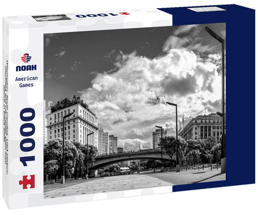 Noah Jigsaw Puzzle Wilmington, North Carolina, USA Historic churches and city center seen from above in black white 1000 pieces