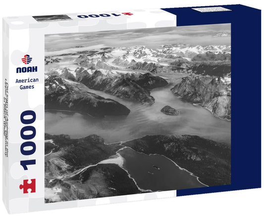 Noah Jigsaw Puzzle Old town of Amberg in the Upper Palatinate, Germany in black white 1000 pieces