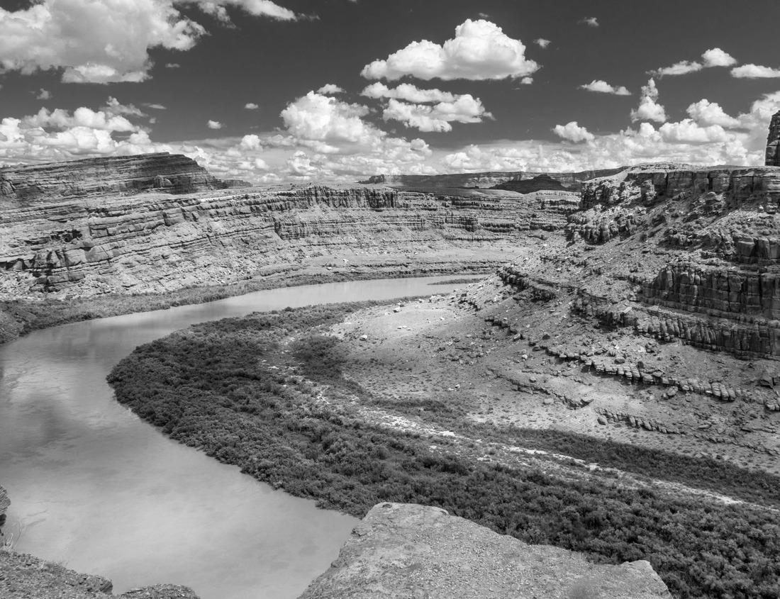 Noah Jigsaw Puzzle Sunset over the rices fields of the charming village of Petulu famous por its egret and heron colonies, Ubud, Bali, Indonesia in black white 1000 pieces