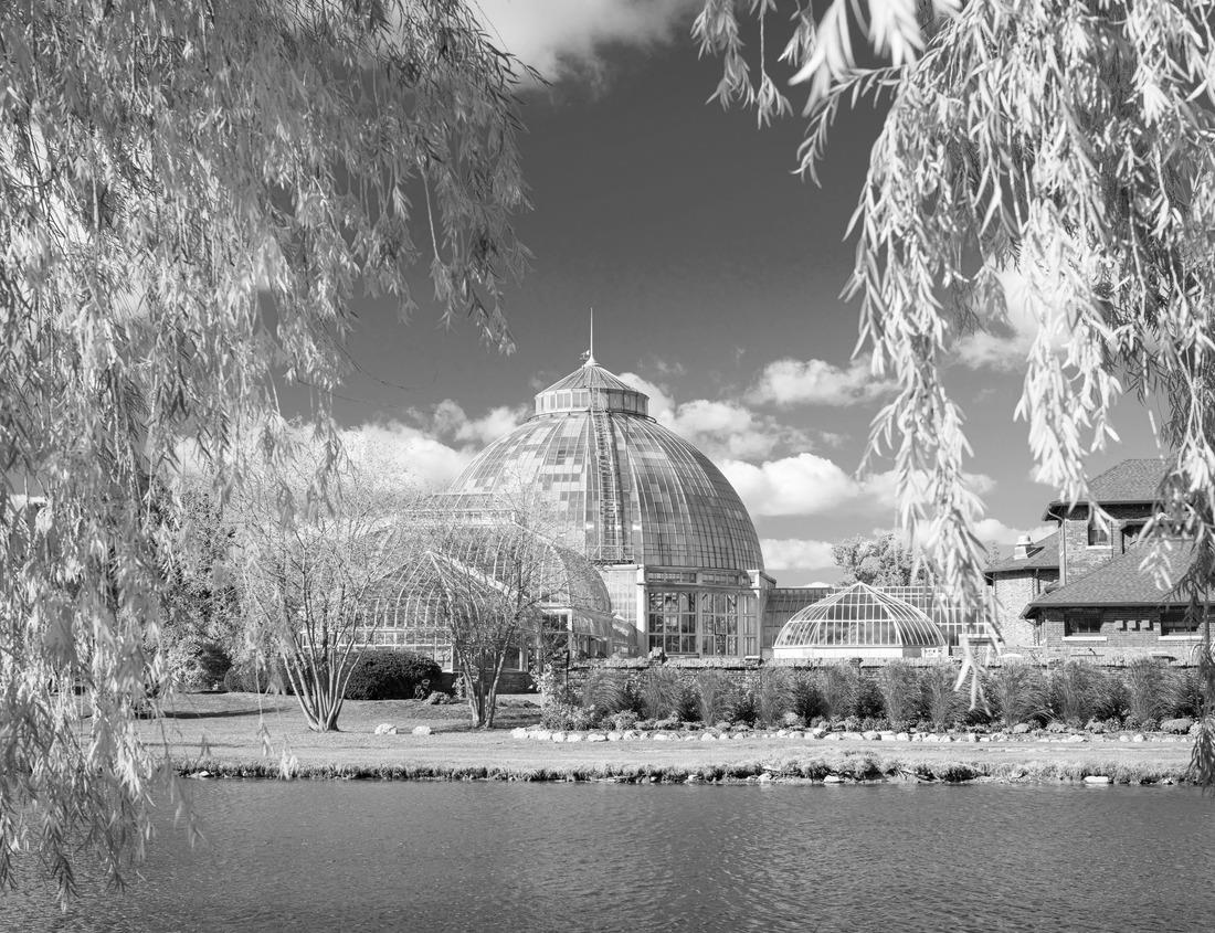 Noah Jigsaw Puzzle A road with a bus stop on the first island of Schiermonnikoog in black white 1000 pieces