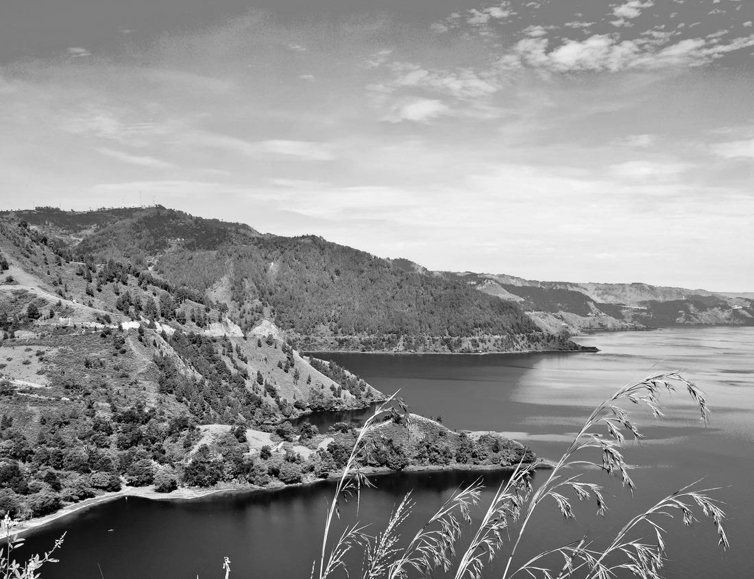 Noah Jigsaw Puzzle Berlin Cathedral in Berlin. An old, historic Gothic church in Europe. Alexanderplatz, Berlin in black white 1000 pieces