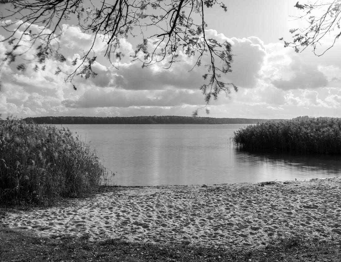 Noah Jigsaw Puzzle City of Chicago Riverwalk: usable bridge over Michigan River, Chicago City, USA in black white 1000 pieces