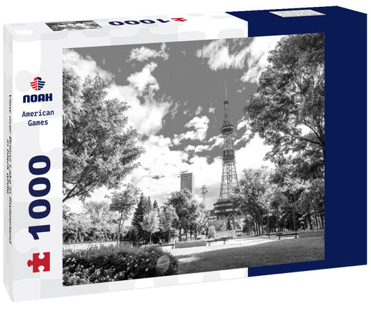 Noah Jigsaw Puzzle View over Brienz Lake in Switzerland in black white 1000 pieces