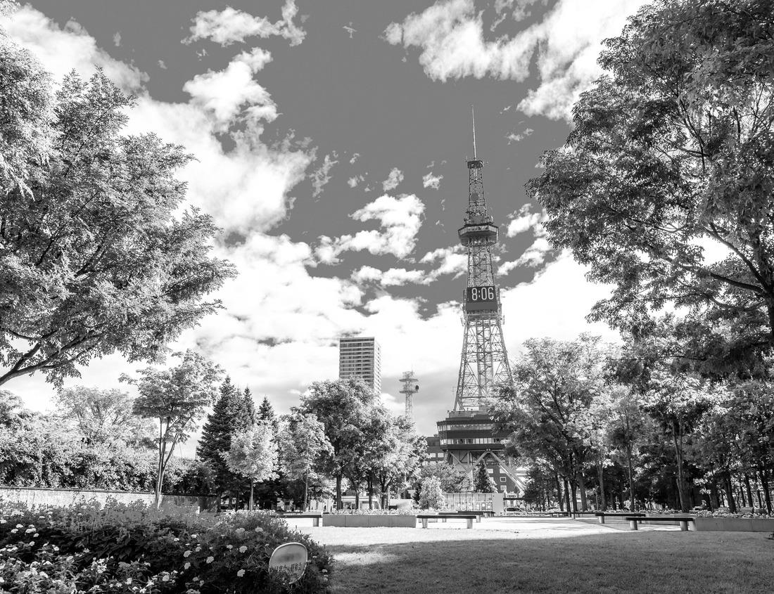Noah Jigsaw Puzzle View over Brienz Lake in Switzerland in black white 1000 pieces