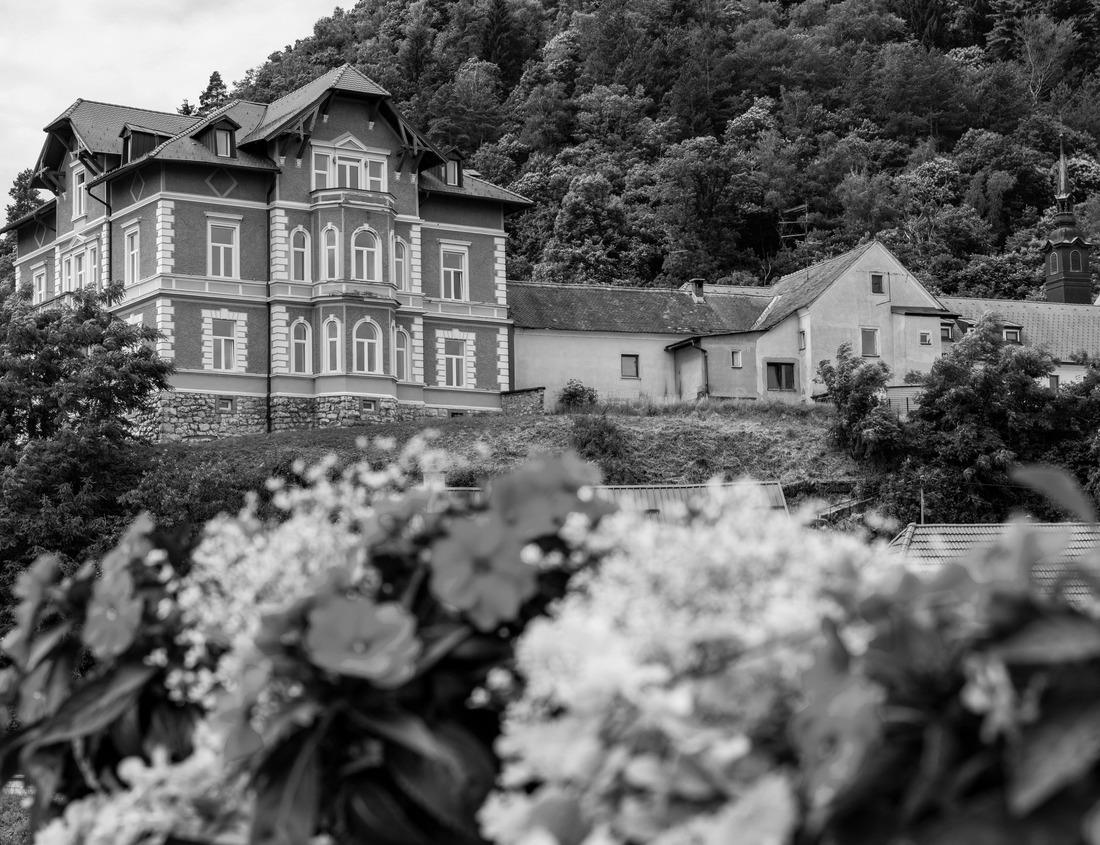 Noah Jigsaw Puzzle View of the historic architecture of Boston in Massachusetts, USA at the Fan Pier Waterfront at sunrise with the skyscrapers and a sailing boat anchored on the side pier in black white 1000 pieces