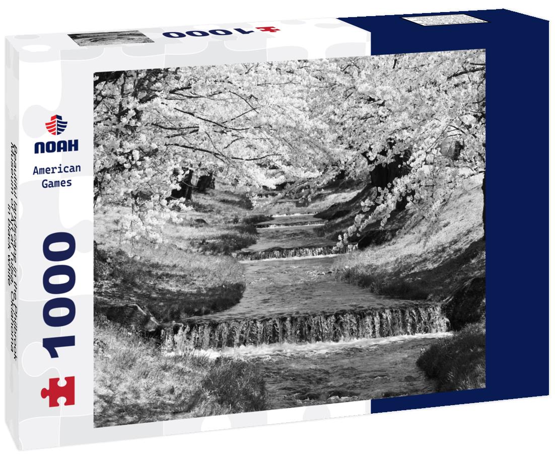 Noah Jigsaw Puzzle Beautiful landscape in the Philbrook Museum of Art at Tulsa, Oklahoma in black white 1000 pieces