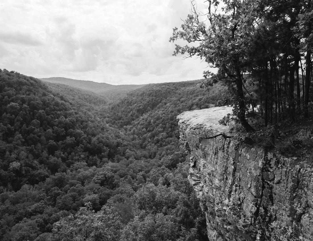 Noah Jigsaw Puzzle Dallas, Texas, USA Downtown skyline at dawn in black white 1000 pieces