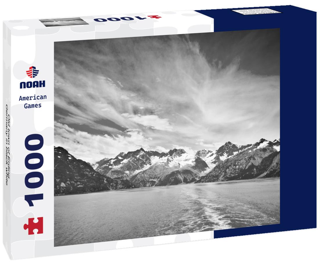 Noah Jigsaw Puzzle Old town of Erding, Germany in black white 1000 pieces