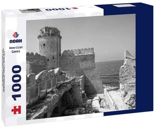 Noah Jigsaw Puzzle Vibrant urban landscape, alive with cultural diversity in Hamilton Ontario in black white 1000 pieces