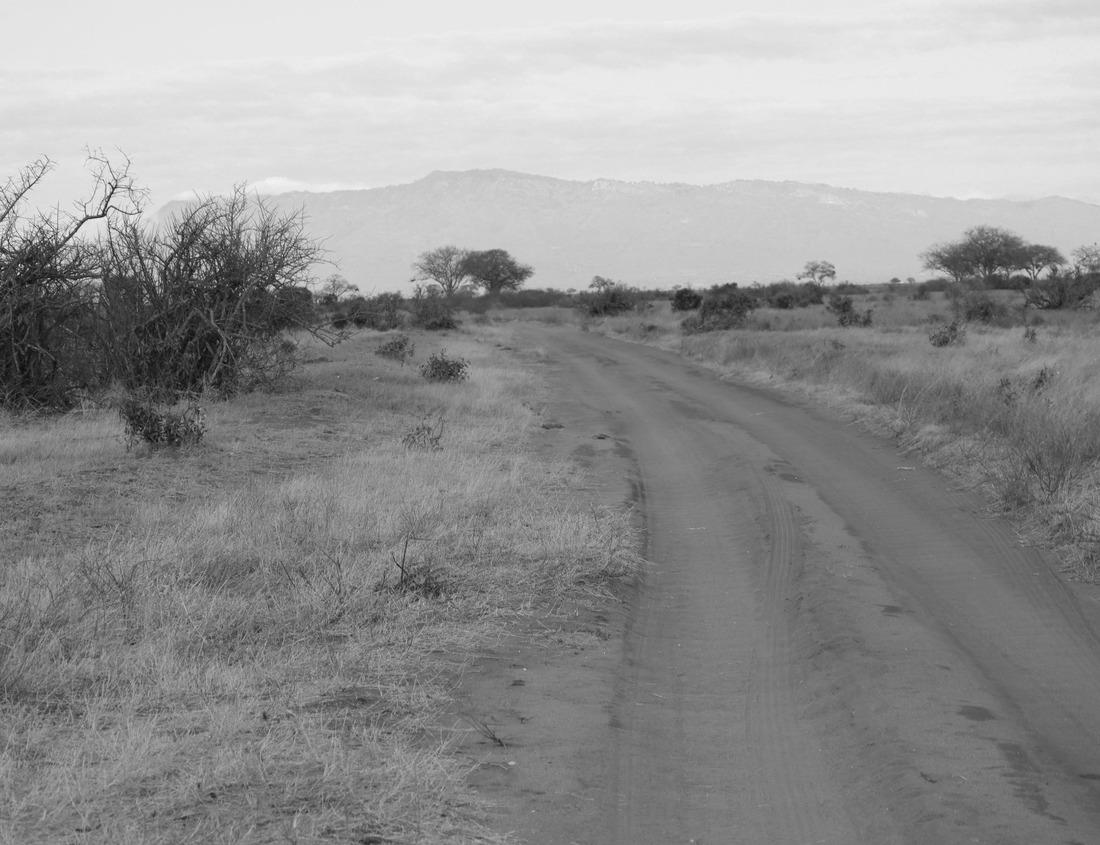 Noah Jigsaw Puzzle 12 Apostles limestone rock stacks along the rugged Great Ocean Road in Victoria in Australia in black white 1000 pieces