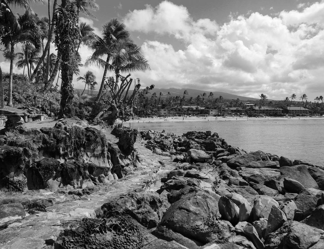 Noah Jigsaw Puzzle Rotes Rathaus, Berlin City Hall with TV tower in the background, Germany in black white 1000 pieces