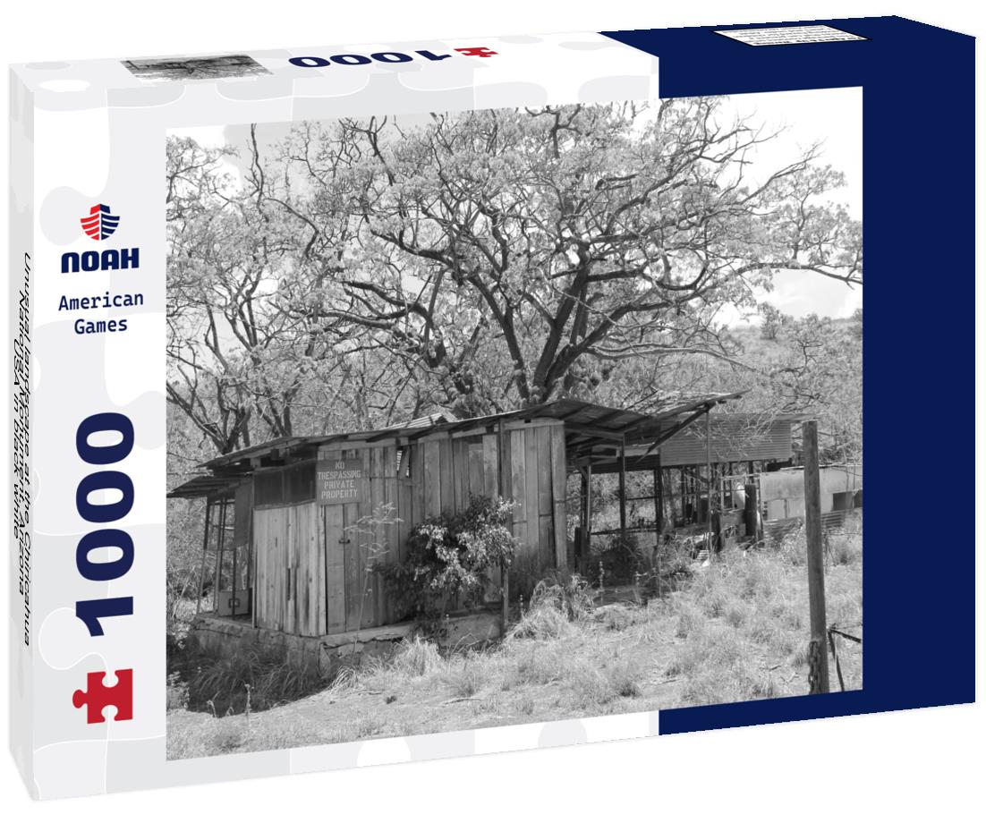 Noah Jigsaw Puzzle Unusual landscape at the Chiricahua National Monument, Arizona, USA in black white 1000 pieces