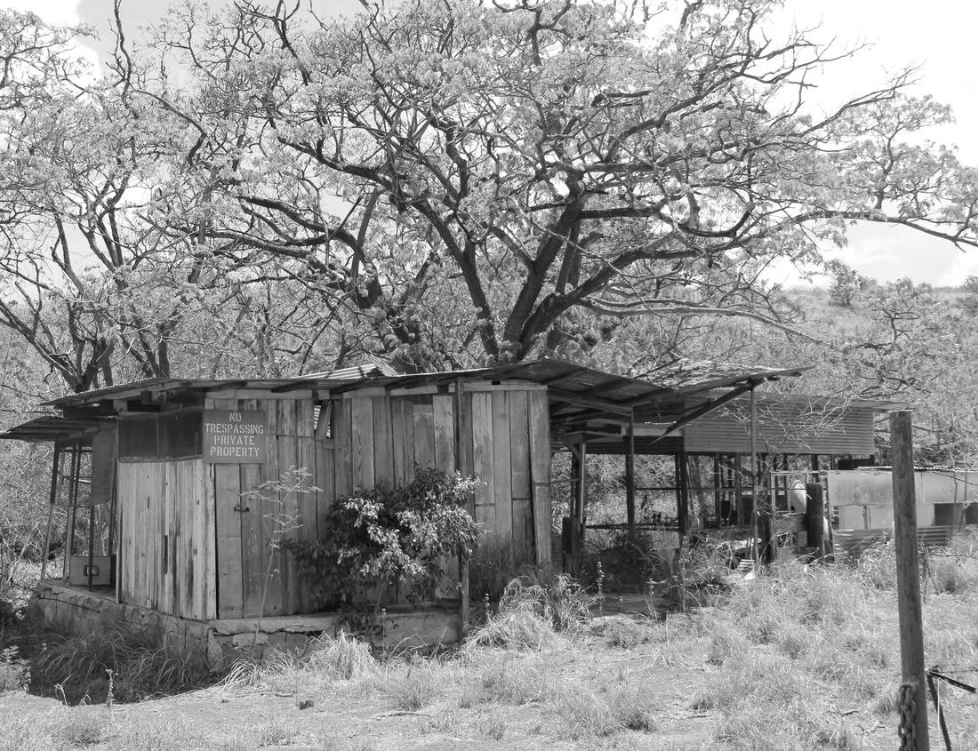Noah Jigsaw Puzzle Unusual landscape at the Chiricahua National Monument, Arizona, USA in black white 1000 pieces