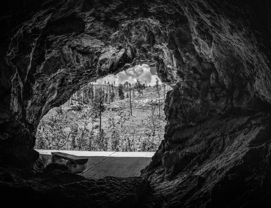 Noah Jigsaw Puzzle Palm trees grow along a scenic beach off the coast of West Papua, Indonesia. This remote part of Indonesia is known for its incredibly high marine biodiversity in black white 1000 pieces