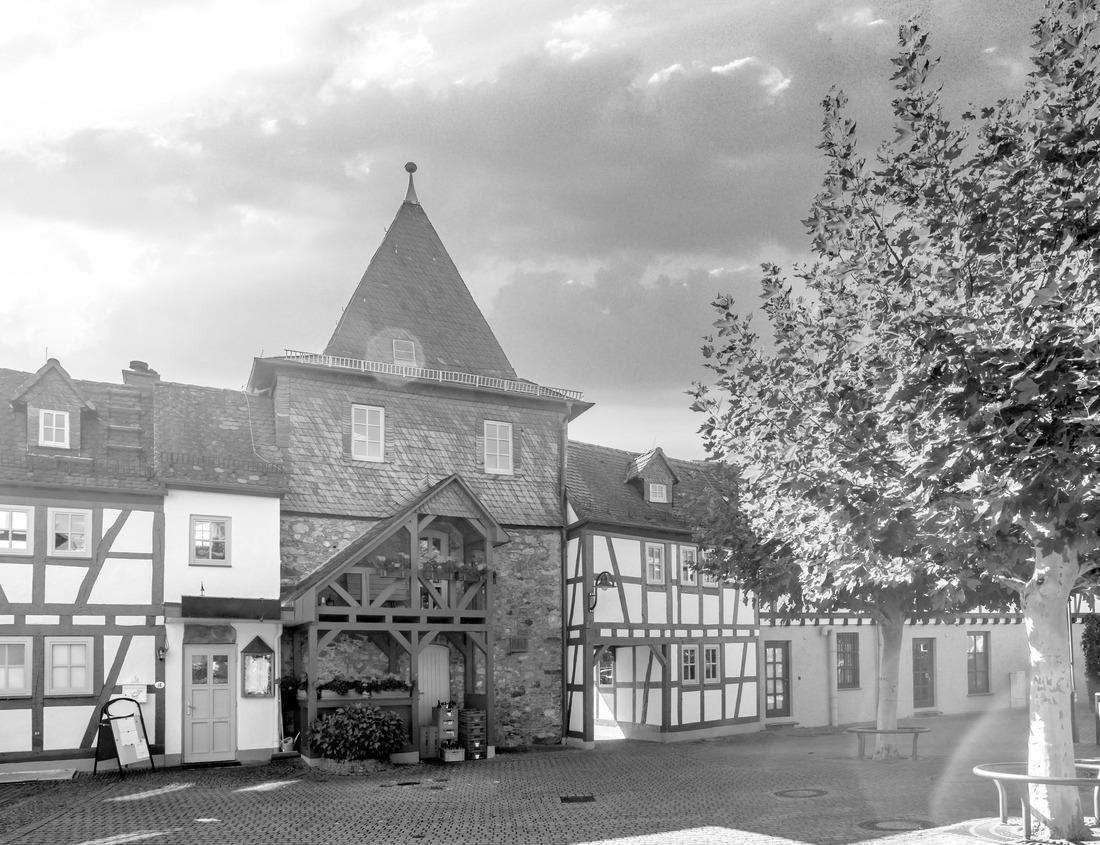 Noah Jigsaw Puzzle Catherine palace and park in autumn foliage, Tsarskoe Selo (Pushkin), Saint Petersburg, Russia in black white 1000 pieces