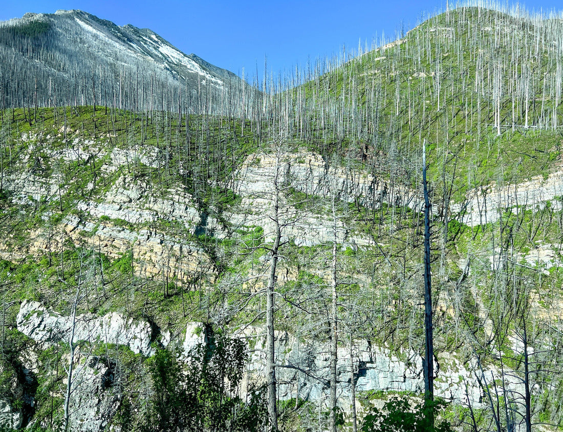 The scenic view that runs through Waterton Lake National Park on a beautiful cloudy day 1000pc Puzzle