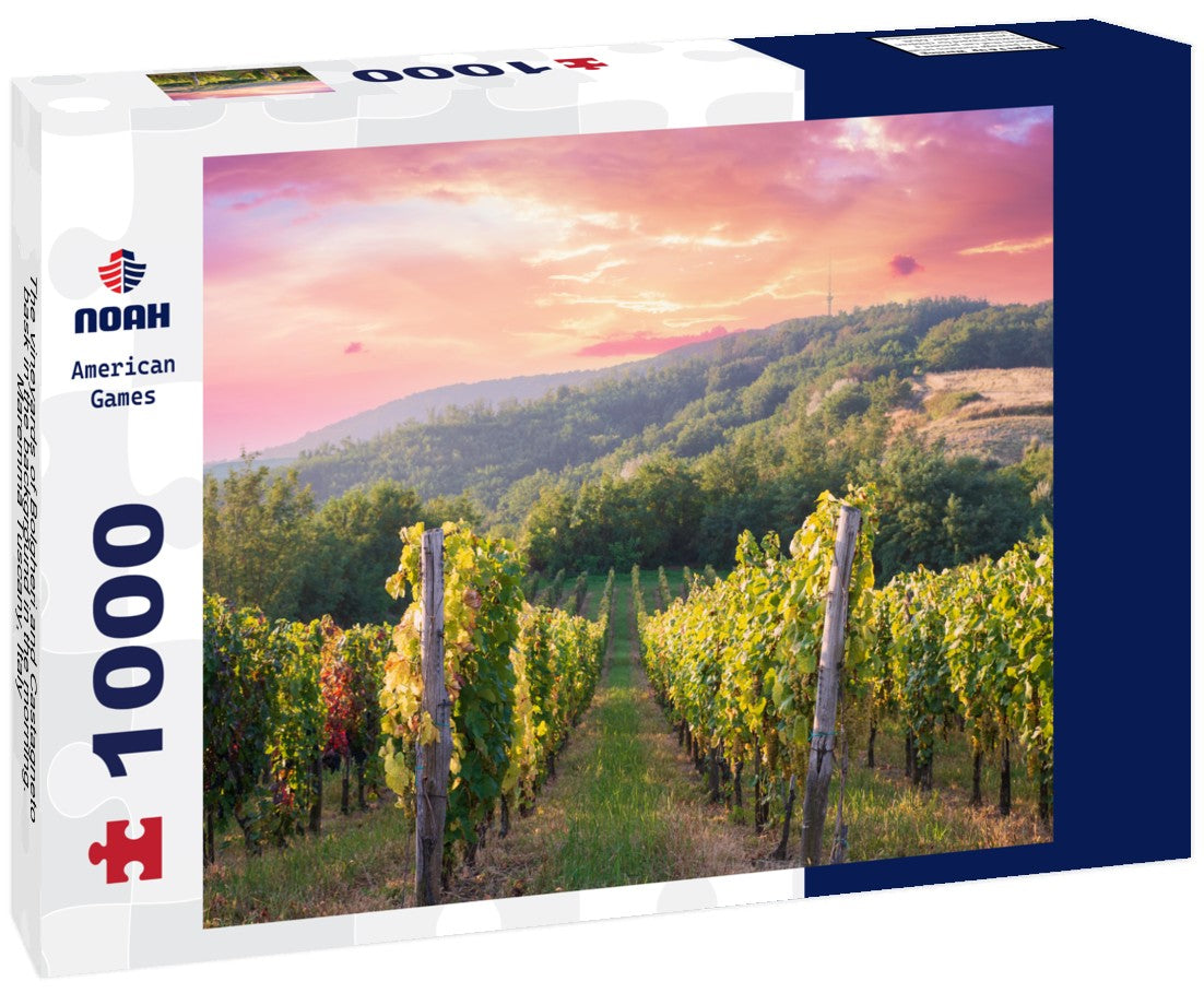 The vineyards of Bolgheri and Castagneto bask in the background in the morning. Maremma Tuscany, Italy 1000pc Puzzle