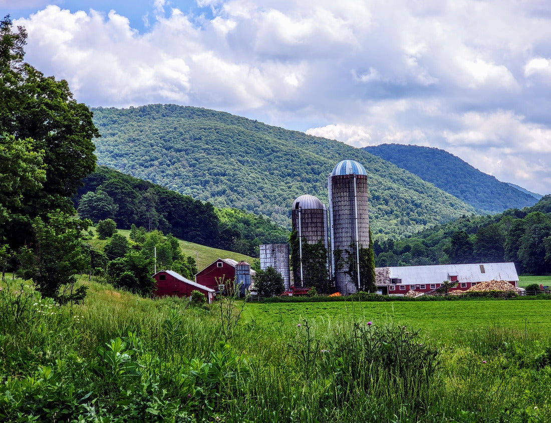 Noah Jigsaw Puzzle Rupert Vermont landscape mountains and farm 1000 pieces