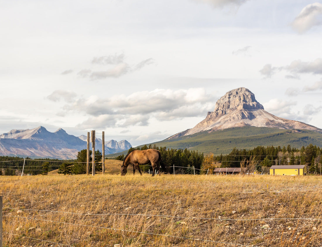 Noah Jigsaw Puzzle Landscape in British Columbia. Picturesque rock on the background 1000 pieces