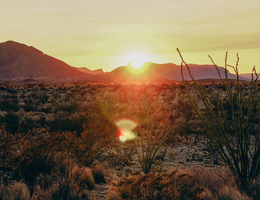 Noah Jigsaw Puzzle A Sunset in West Texas 1000 pieces