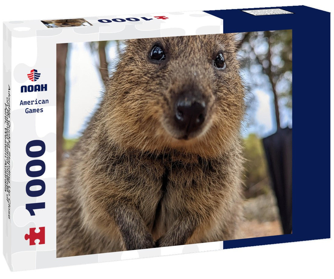 Noah Jigsaw Puzzle Adorable Quokka Standing Up Close on Rottnest Island outside of Perth, Western Australia 1000 pieces