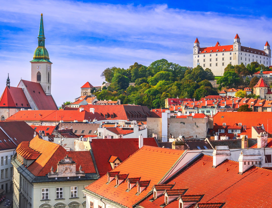 Noah Jigsaw Puzzle Bratislava, Slovakia. Panoramic rooftop view of the Castle, the cathedral and the old town square 1000 pieces