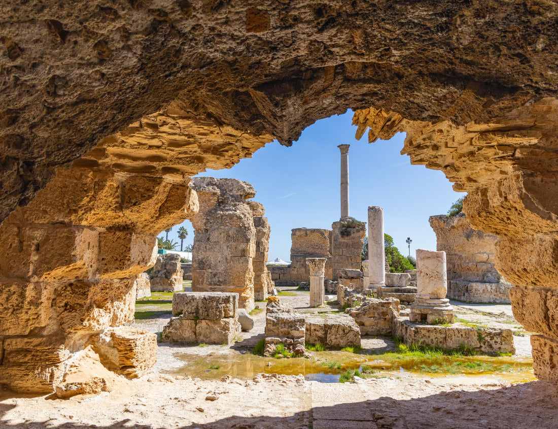 Noah Jigsaw Puzzle Baths of Antoninus, Carthage, Tunis, Tunisia. Roman ruins of the Baths of Antoninus in Carthage 1000 pieces