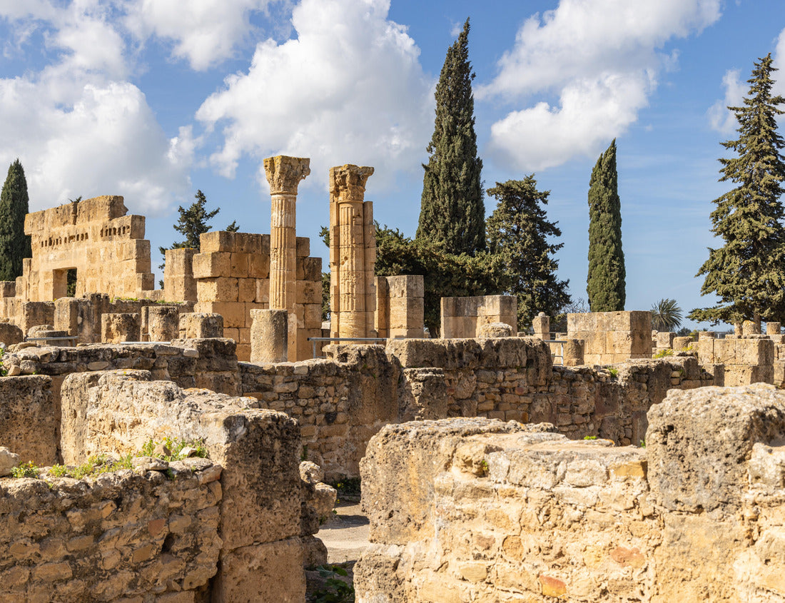 Utique, Bizerte, Tunisia. Roman ruins at the archaeological site of Utique 1000pc Puzzle