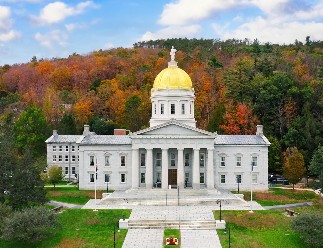 Noah Jigsaw Puzzle Aerial view of Vermont State House, in Montpelier, VT with fall foliage colors. The capitol is the seat of the Vermont General Assembly 1000 pieces